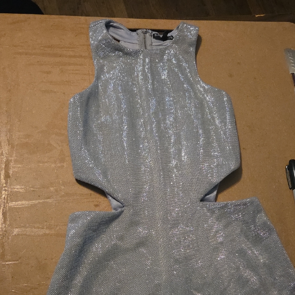 Express Silver Metallic Dress
